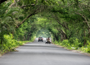 The Importance of Environmental Education in Schools
